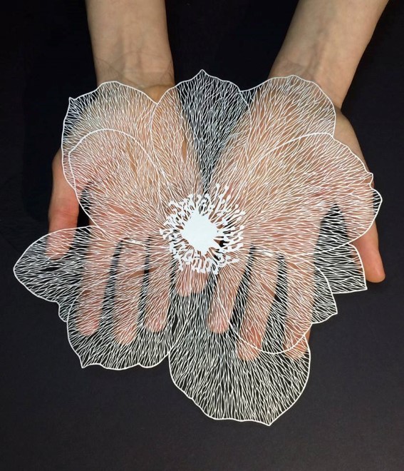 هنر نمایی شگفت انگیز از برشهای کاغذ توسط هنرمند آمریکایی ماود وایت 